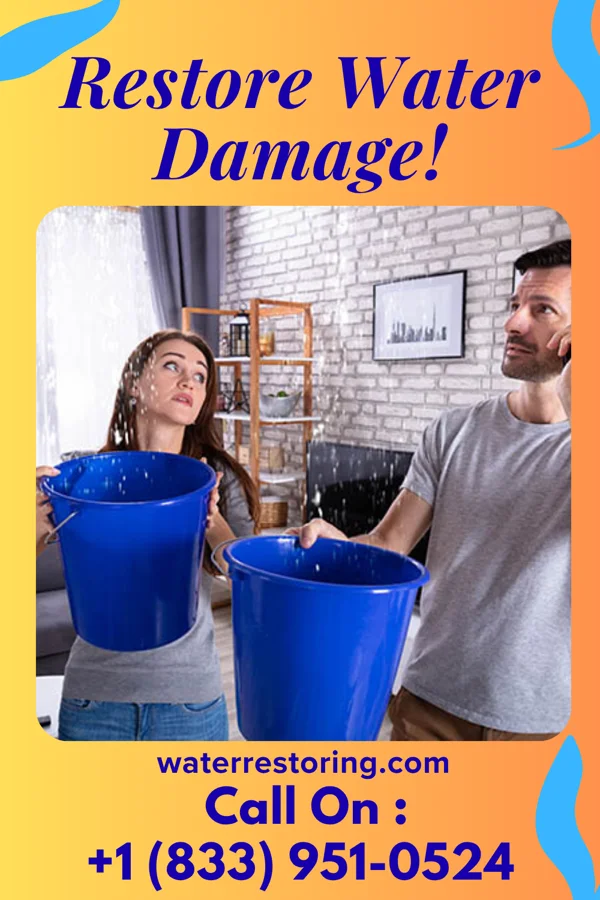 water restoration Local Property Restoration Force West Pittston