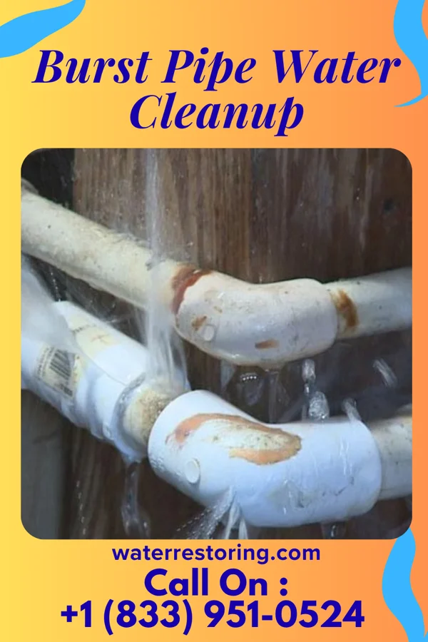 Burst Pipe Water Cleanup in West Pittston, PA