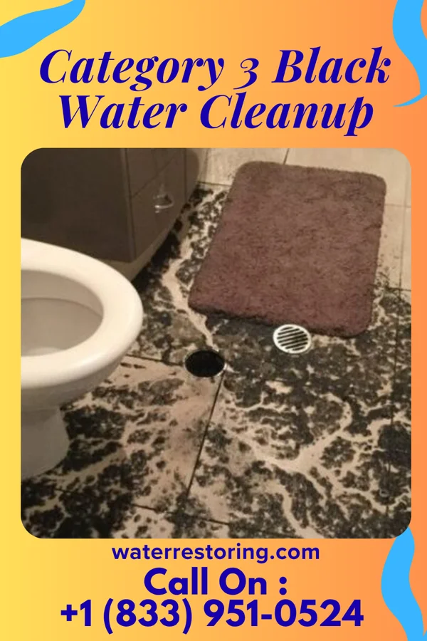 Category 3 Black Water Cleanup in West Pittston, PA