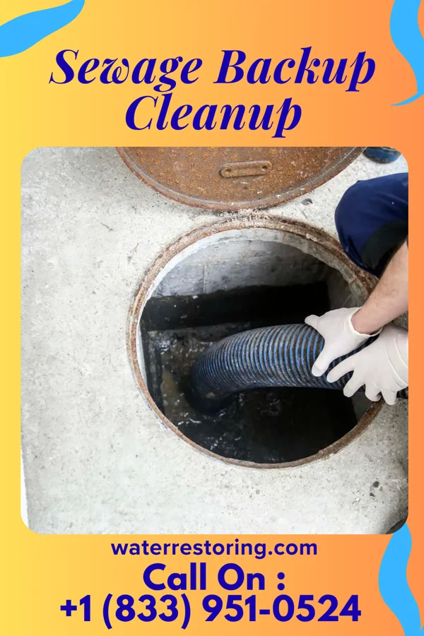 Sewage Backup Cleanup in West Pittston, PA