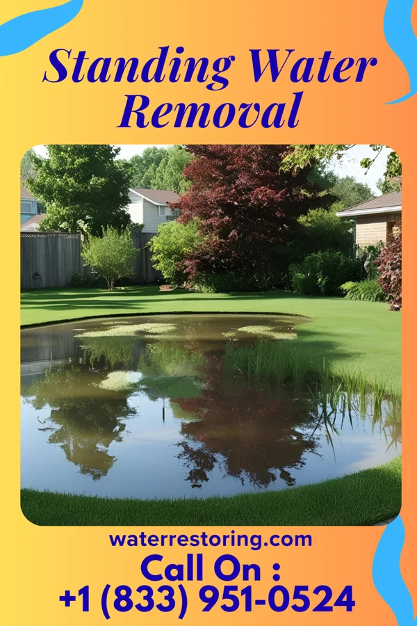 Standing Water Removal in West Pittston, PA